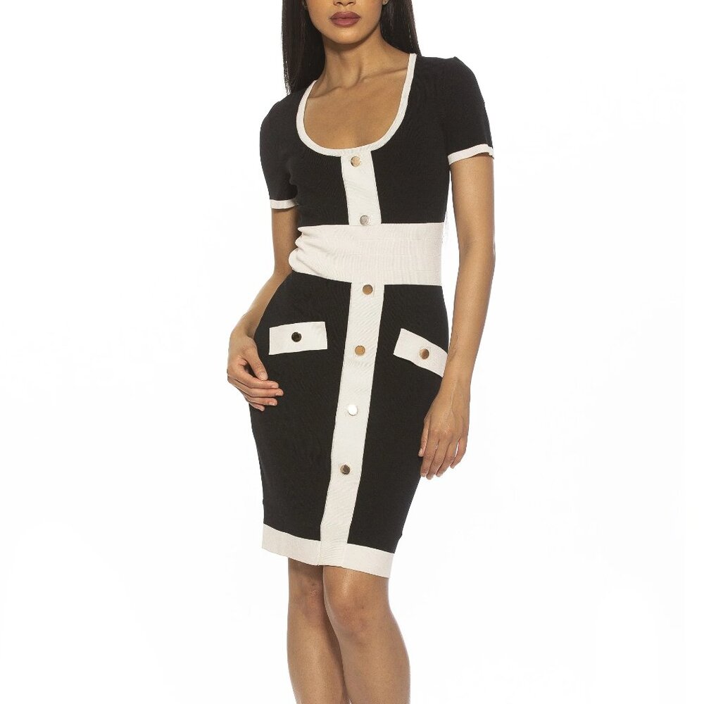 Alexia Admor Serenity Scoopneck Knitted Dress Size XL
